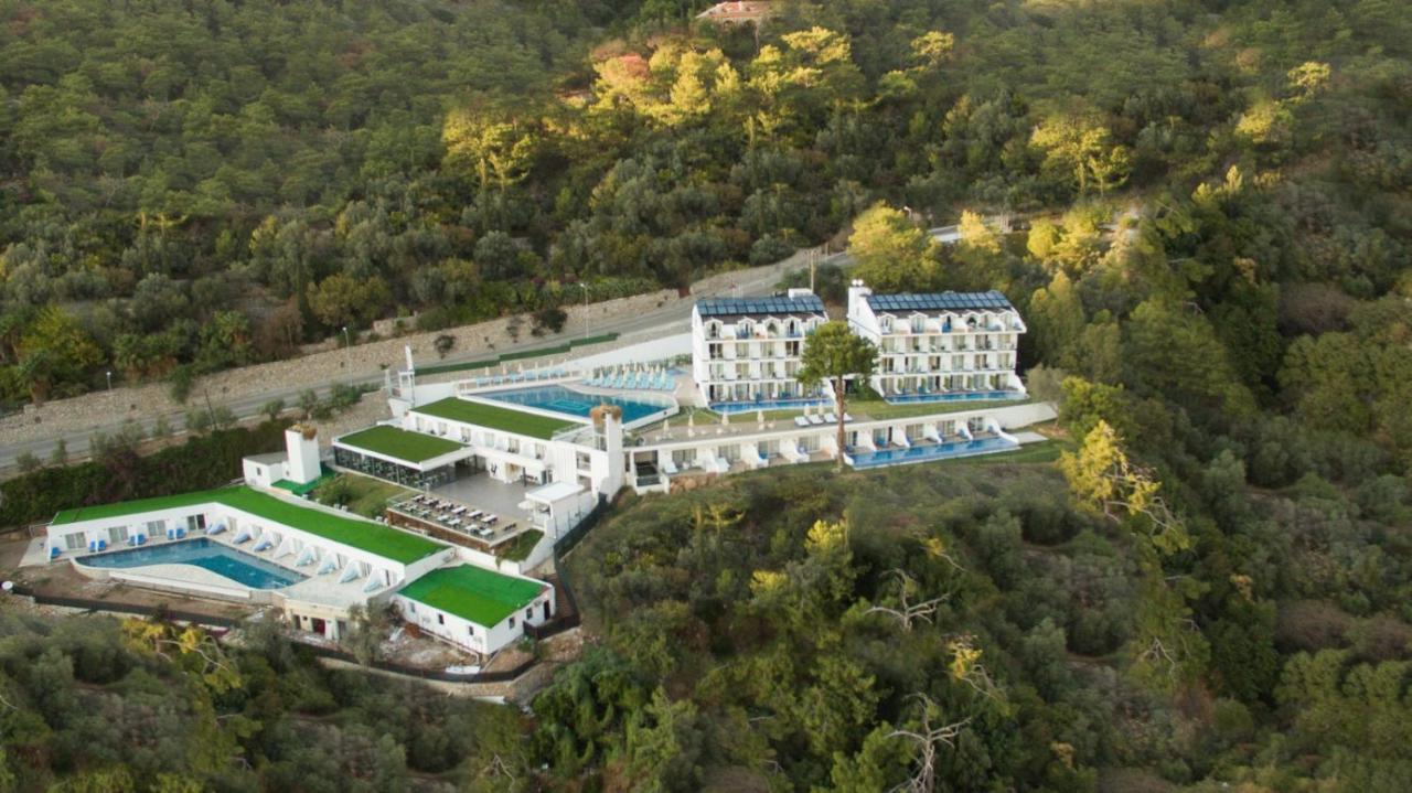 Sertil Royal Forest Hotel Ölüdeniz Zewnętrze zdjęcie
